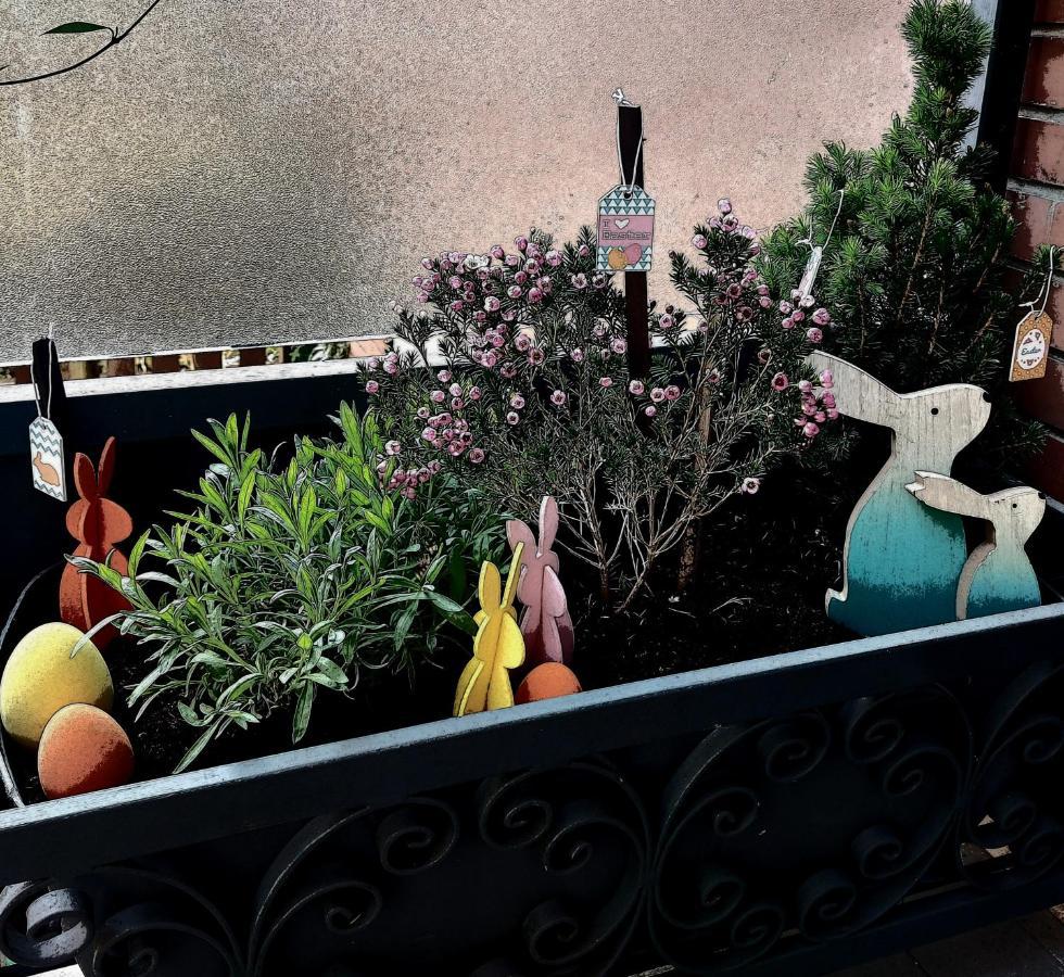 ホテル A Casa Di Gemma ボローニャ エクステリア 写真