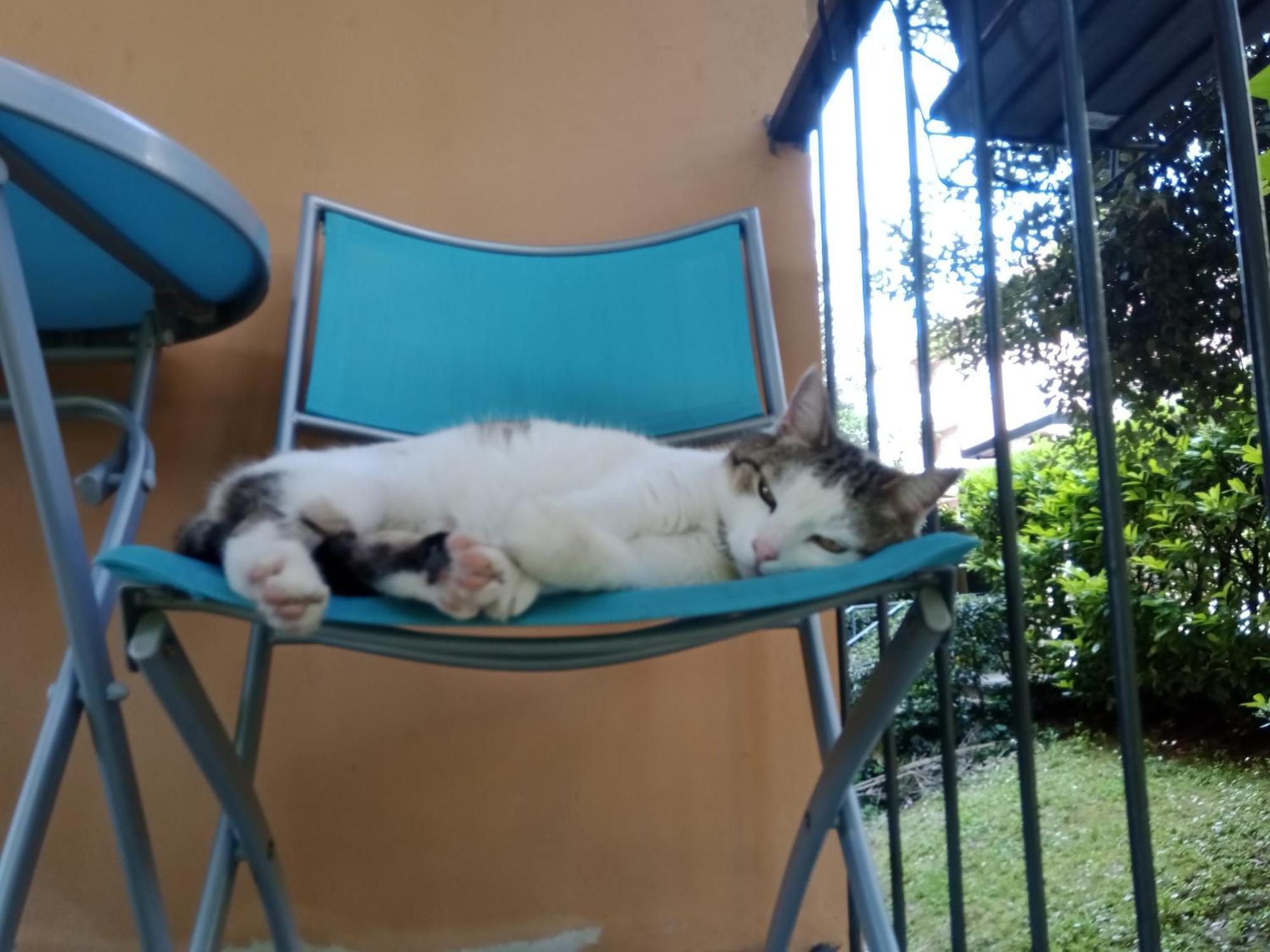 ホテル A Casa Di Gemma ボローニャ エクステリア 写真